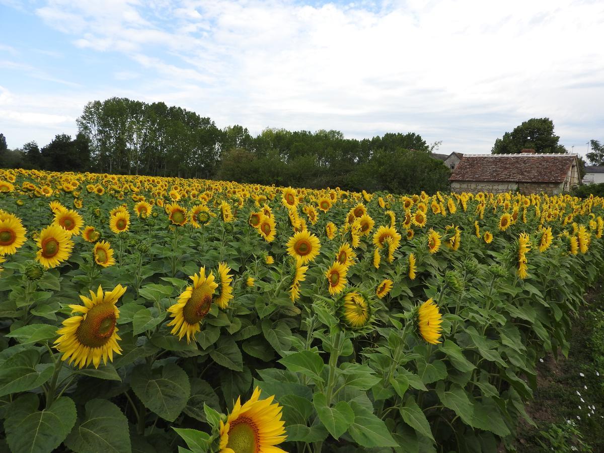 Le Moulin De Saussaye Bed and Breakfast Crouzilles Esterno foto